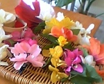 070630_153332_M.jpg