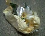 070823_000250.jpg