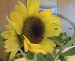 070829_.jpg
