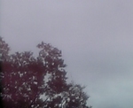070910_134124.jpg