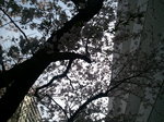 2011-04-11 14.49.17.jpg