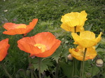 SANY0044.JPG