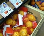 trader joe's2.jpg